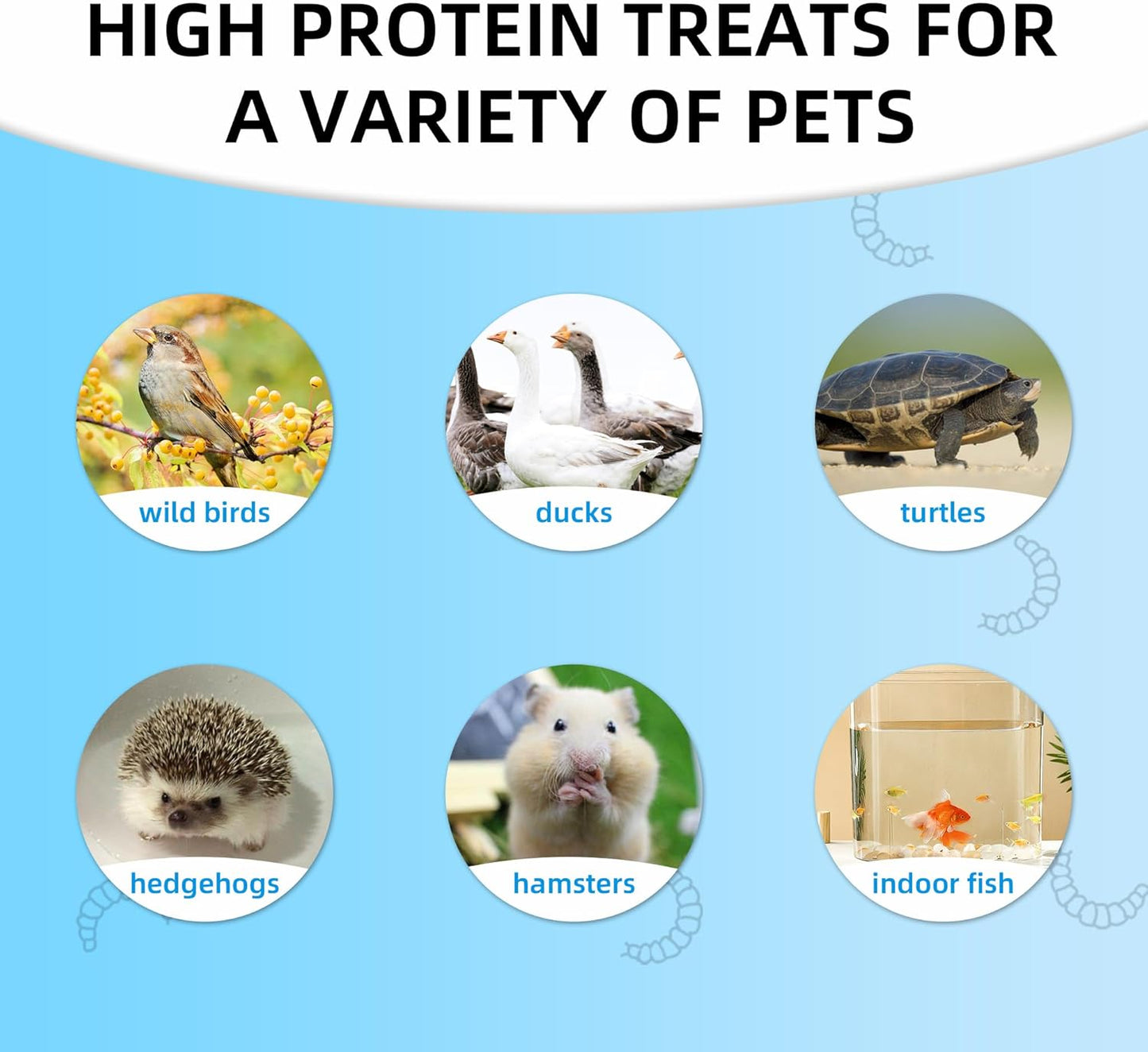 I LOVE WORMS Dried Black Soldier Fly Larvae (5lb), 100% Natural Non-GMO, Treat for Chickens, More Calcium Chicken Feed Than Mealworms