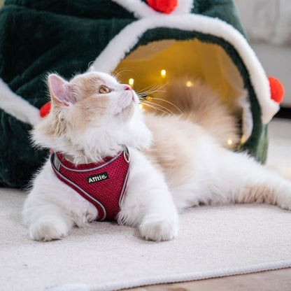 AIITLE Comfortable Dog Harness and Leash Set for Walking - Summer Step in Vest Harness,Reflective Bands, Adjustable No Pull Puppy Essentials, for Small Dogs and House Cats Burgundy XS