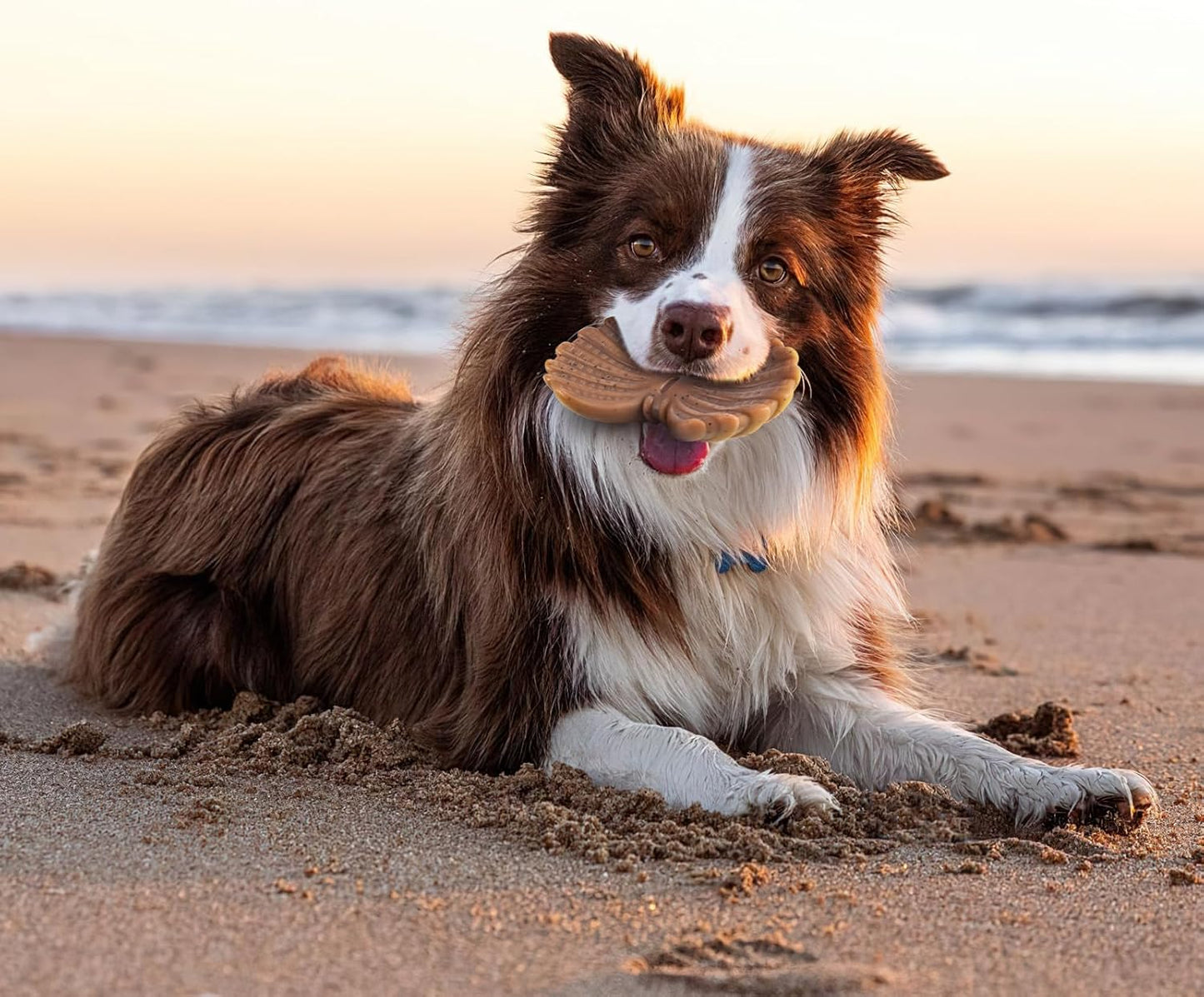 NEZIN Dog Toys for Aggressive Chewers, Indestructible Toys for Large Dogs, Dog Chew for Large Medium Small Breed, 3 Pack Super Chewer with Tough Nylon, Gift for Dogs