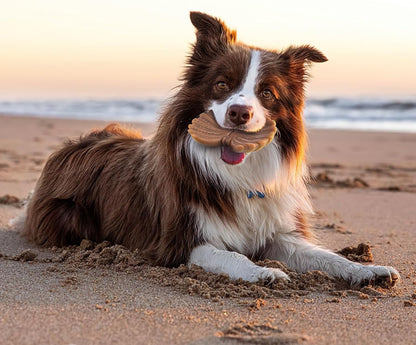 NEZIN Dog Toys for Aggressive Chewers, Indestructible Toys for Large Dogs, Dog Chew for Large Medium Small Breed, 3 Pack Super Chewer with Tough Nylon, Gift for Dogs