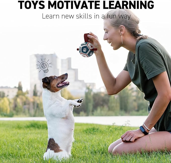 QDAN Small Dog Toys, Puppy Balls, Dog Balls with Straps for Small Breed, Soccer Ball for Dogs, Puppy Toys, Dog Birthday Gift (Blue Red, 3.5 inch)