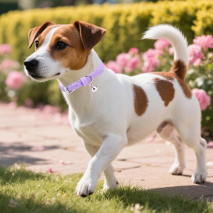 PUPTECK 2 PCS Soft Genuine Leather Cat Kitten Collar with Bells Adjustable for Girl Boy Cats Puppy - Orange, Purple