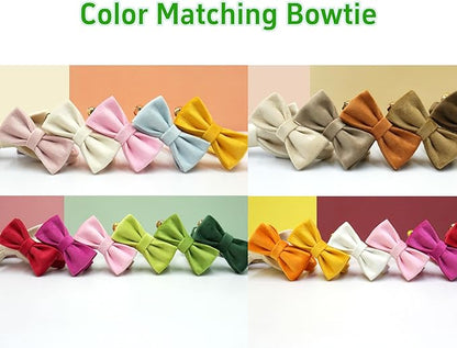Personalized Colorful Velvet Cat Collar, Optional Bowtie, Custom Engraved Collar for Small Large Cat Kitten (Light Gold Buckle)