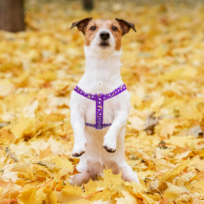 PUPTECK No Pull Dog Harness Soft Adjustable Basic Nylon Step in Puppy Vest Outdoor Walking with ID Tag, Moon Star Purple, S