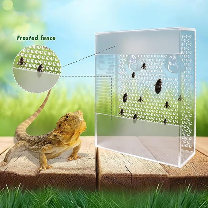 Transparent Acrylic Reptile Feeder Box, Wall-Mounted Insect Feeder with Suction Cups, Tank and Aquarium Accessories for Bearded Dragon, Lizard, Gecko, Frog