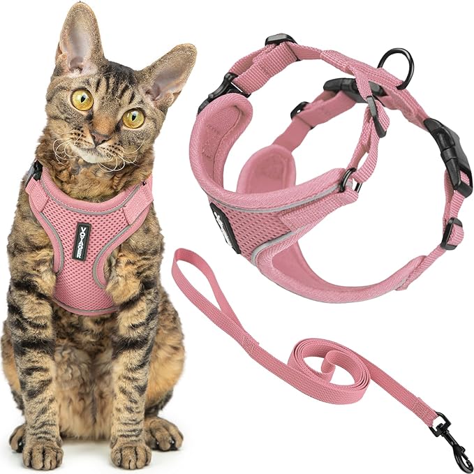 Voyager Escape Proof Cat Harness and Leash Set with Reflective Stitching, Neoprene Handle 5ft - Supports Small, Medium and Large Cats, Kittens for Walking by Best Pet Supplies - Pink, XXS