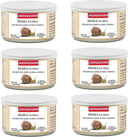 6 Pack Canned Snails for Reptiles, Fish, Birds and Small Animals, Snails, Healthy High Protein Treat, Reptile Bird Fish Food 7.2 Ounces Total