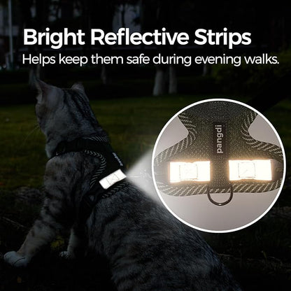 Cat Harness and Leash Escape Proof Extra Large Kitten Harness Maine Coon Cat Vest for Walking Travel, Dark Green, XXL