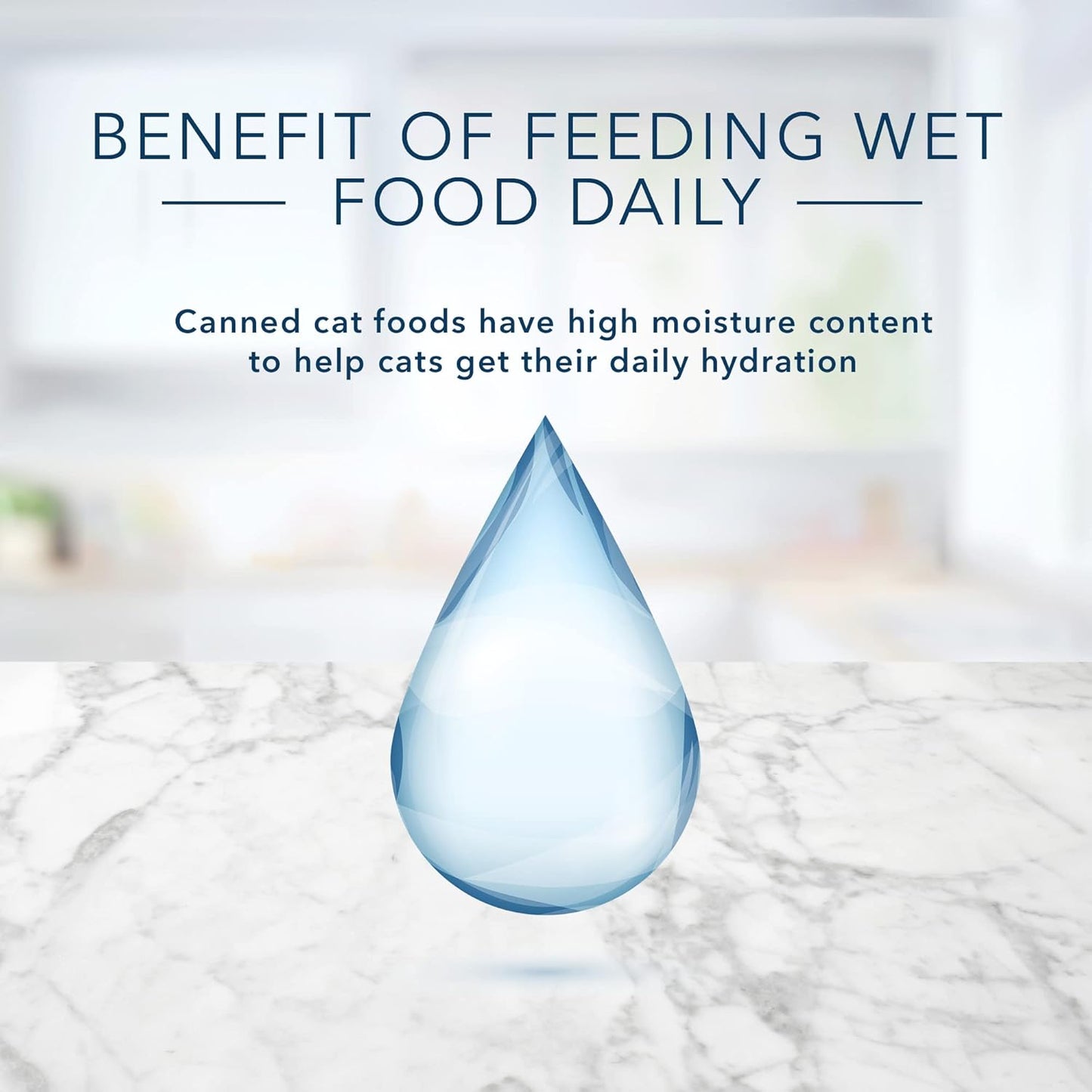 Blue Buffalo Tastefuls Natural Pate Wet Cat Food, Chicken Entrée 5.5-oz cans (Pack of 24)