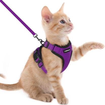 rabbitgoo Cat Harness and Leash for Walking, Escape Proof Soft Adjustable Vest Harnesses for Cats, Easy Control Breathable Reflective Strips Jacket, Purple, XXS