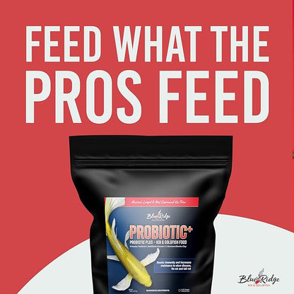 Blue Ridge Koi Fish Food 5lb - Koi Food 3/16” Probiotic Plus, Goldfish Food, Premium Fish Food for Ponds, Ponds Fish Food, Koi Food Fall and Winter Fish Food, Floating Pond Pellets