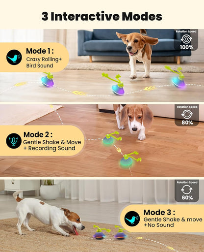 Smart Interactive Dog Toys, Automatic Moving and Rolling Dogs Ball with Rope, Motion-Activated Wicked Ball for Small Medium Dogs for Boredom, RGB Lights, stimulating Sound, Voice Recording