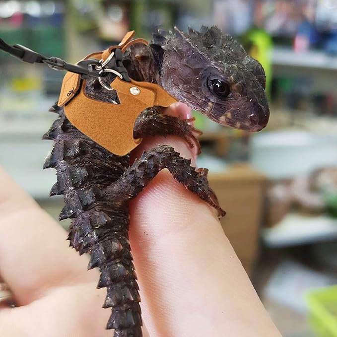 3 Pcs Bearded Dragon Harness and Leash Set Adjustable Leash Soft Leather Bearded Dragon Harness Lizard Accessory for Squirrels and Other Small Reptiles(Brown, 3 Sizes)