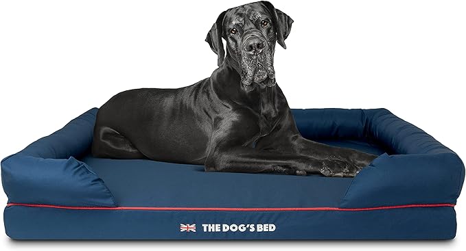 The Dog’s Bed Orthopedic Dog Bed XXL Blue Oxford with Red Trim UK Flag Dog Bed, Memory Foam, Pain Relief: Arthritis, Post Surgery, Lameness, Waterproof Washable Cover