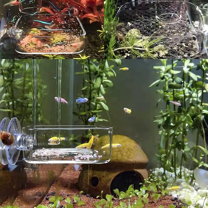 Aquarium Shrimp Feeder Dish Glass Fish Tank Feeding Bowls, 2pcs Square Glass Food Bowl (60mm), 1pcs Round Fish Feeding Bowls with Suction Cups (60mm)