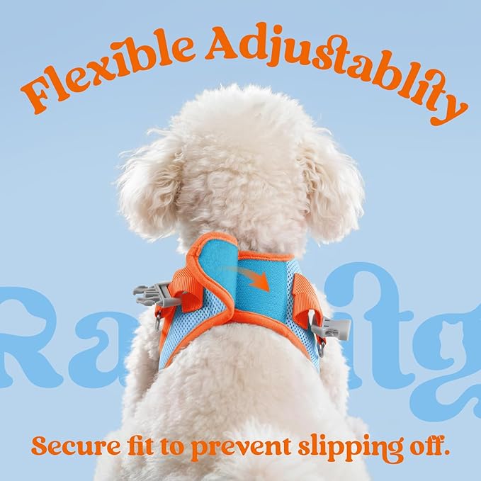 rabbitgoo Dog Harness Small Sized and Leash Set, Step-in Breathable Pet Harness, Soft Walking Reflective Puppy Vest for Small Dogs, Light Blue & Orange, XXS