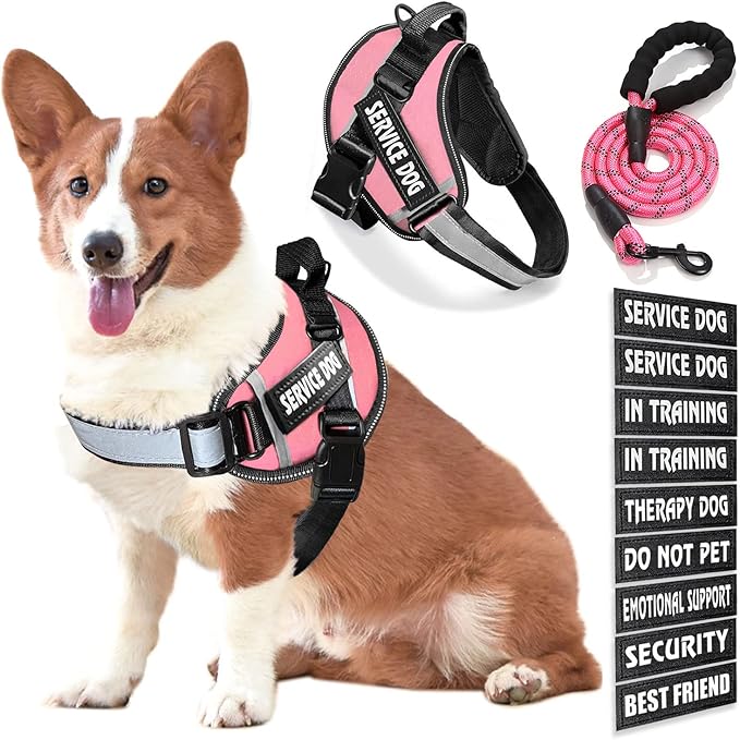 Service Dog Vest, 9 Dog Patches No Pull Dog Harness and Leash Set with Handle,Easy On and Off Pet Vest Harness with Night Safe Reflective Straps for Small Medium Large Breed Dogs