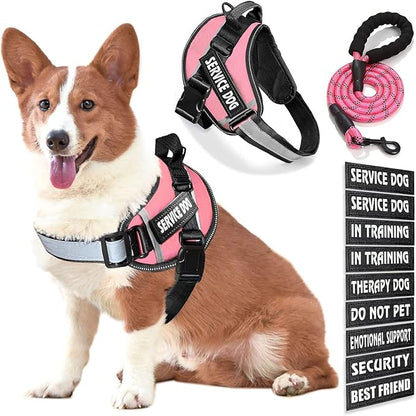 Service Dog Vest, 9 Dog Patches No Pull Dog Harness and Leash Set with Handle,Easy On and Off Pet Vest Harness with Night Safe Reflective Straps for Small Medium Large Breed Dogs