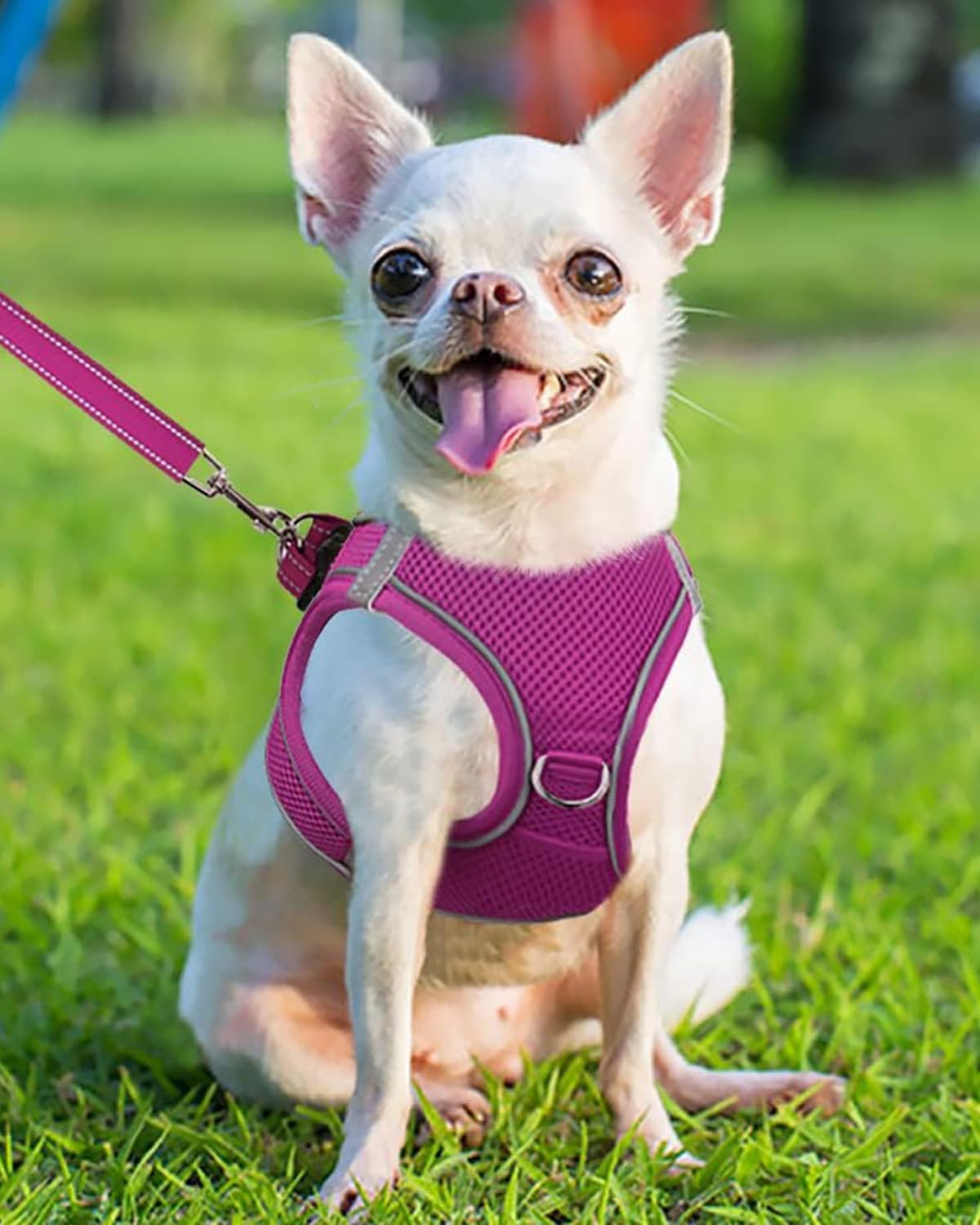 Joytale Small Dog Harness, Breathable Mesh Step-in Vest, Reflective Soft Padded Harnesses for Puppies and Extra Small Dogs, Hot Pink, XS