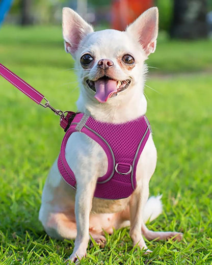 Joytale Small Dog Harness, Breathable Mesh Step-in Vest, Reflective Soft Padded Harnesses for Puppies and Extra Small Dogs, Hot Pink, XS