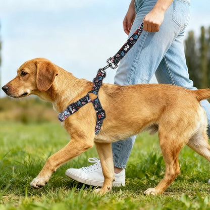 QQPETS Dog Harness Leash Set Adjustable Heavy Duty No Pull Halter Harnesses for Small Medium Large Breed Dogs Back Clip Anti-Twist Perfect for Walking