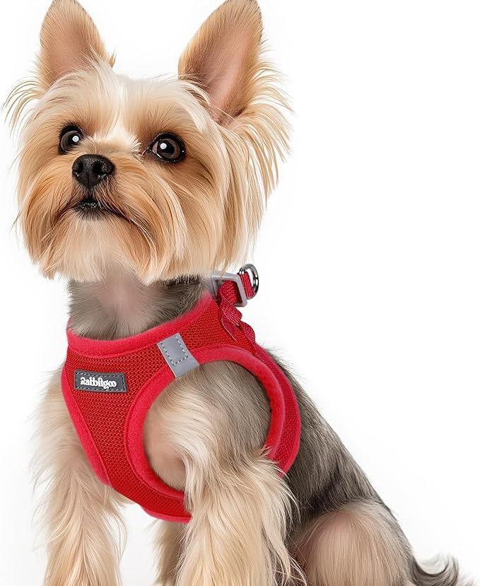 rabbitgoo Small Dog Harness, Step-in Soft Mesh Puppy Vest with Safety Buckle, Breathable Reflective Pet Harness for Small Sized Dogs, Red XS