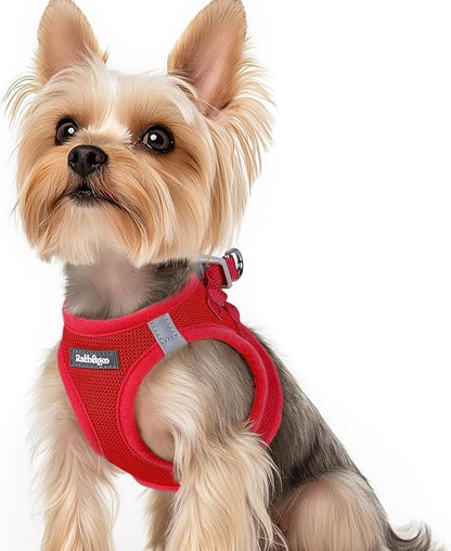 rabbitgoo Small Dog Harness, Step-in Soft Mesh Puppy Vest with Safety Buckle, Breathable Reflective Pet Harness for Small Sized Dogs, Red XS