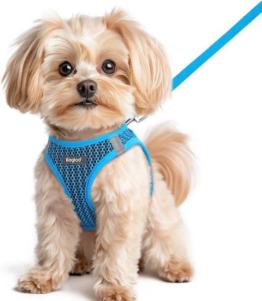 Eagloo Small Dog Harness and Leash Set, Step in Puppy Vest with Breathable Soft Mesh, Walking Reflective Pet Harness for Small Dogs, Blue, XS