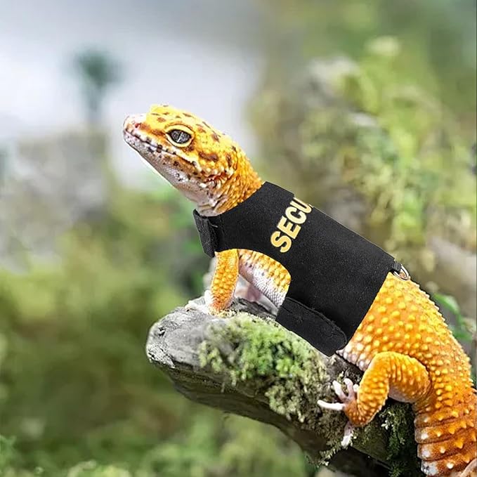 Bearded Dragon Harness and Leash Set - Security-Style Escape Proof Adjustable Reptile Lizard Vest with 5 ft Short Leash for Walking Outdoor (Costume Vest Design)