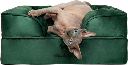 NOAH & PAW Small Dog Bed, 20x15x8 Inch, Cat Bed for Indoor Cats, Orthopedic Eggshell Memory Foam Infused with Cooling Gel, Waterproof Inner Cover Machine Washable (Velvet Collection)