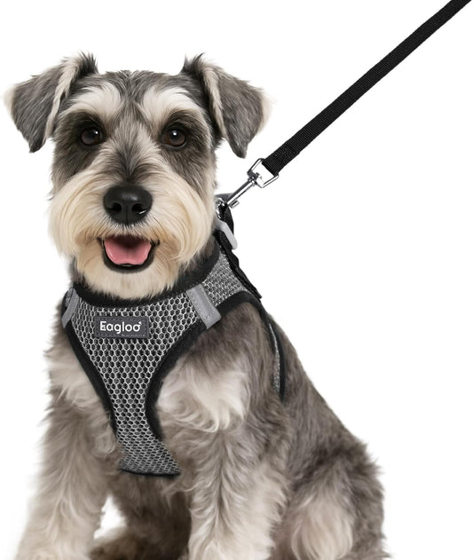 Eagloo Small Dog Harness and Leash Set, Step in Puppy Vest with Breathable Soft Mesh, Walking Reflective Pet Harness for Small Dogs, Gray, S