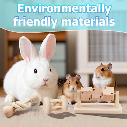 3 Pcs Wooden Hamster Enrichment Toys, Guinea Pig Chew Toys for Syrian & Dwarf Hamsters,Rabbits, Gerbils, Rats, Chinchillas, Small Animals Playing Teeth Grinding Indoor Outdoor