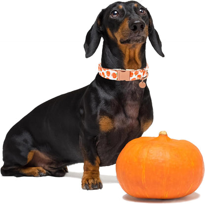 Halloween Dog Collar with Metal Buckle Gift Fall Dog Collar for Small Medium Large Girls or Boys Dogs Cute Pumpkin Cotton Pet Collars