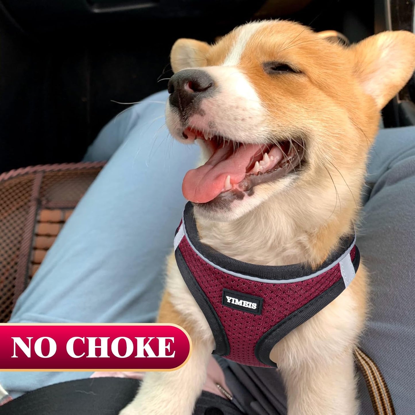 YIMEIS Dog Harness and Leash Set, No Pull Soft Mesh Pet Harness, Reflective Adjustable Puppy Vest for Small Medium Large Dogs, Cats (Grape Purple, Medium (Pack of 1)