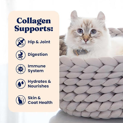 Solid Gold Bone Broth Cat Food Topper - Limited Ingredient Lickable Cat Broth Pouches w/Chicken Protein Shreds & Collagen for Hydration & Gut Support - Easy to Serve Gravy for Cats Meal Topper - 12ct