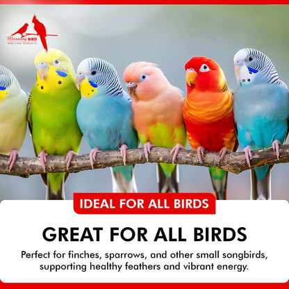 Morning Bird Liquid Iodine for Birds 4 fl. oz – Iodine Drops for Feather Growth, Support Molting, Energy & Thyroid – Easy-to-Use Mineral Supplement Formula for All Bird Types