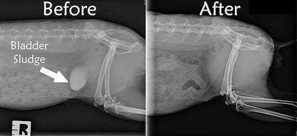 Sherwood Pet Health Adult Rabbit Food Professional 10 lbs, Grain and Soy-Free for Better Digestion