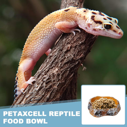 Reptile Food Bowl, Reptile Feeding Dish Corner Bowl Water Resin Rock Worm Feeder Dish m (7.5 in, Orange), Intended for Lizards/o/Scaled Pet/Leopard o/Spiders