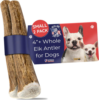 Devil Dog Pet Co. Elk Antlers for Dogs, Small 4"+, 2 Pack, Grade A Long Lasting Chew for Aggressive Chewers, Premium USA Naturally Shed Antler – Healthy, No Odor, Durable Dog Chew