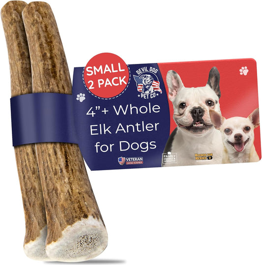 Devil Dog Pet Co. Elk Antlers for Dogs, Small 4"+, 2 Pack, Grade A Long Lasting Chew for Aggressive Chewers, Premium USA Naturally Shed Antler – Healthy, No Odor, Durable Dog Chew