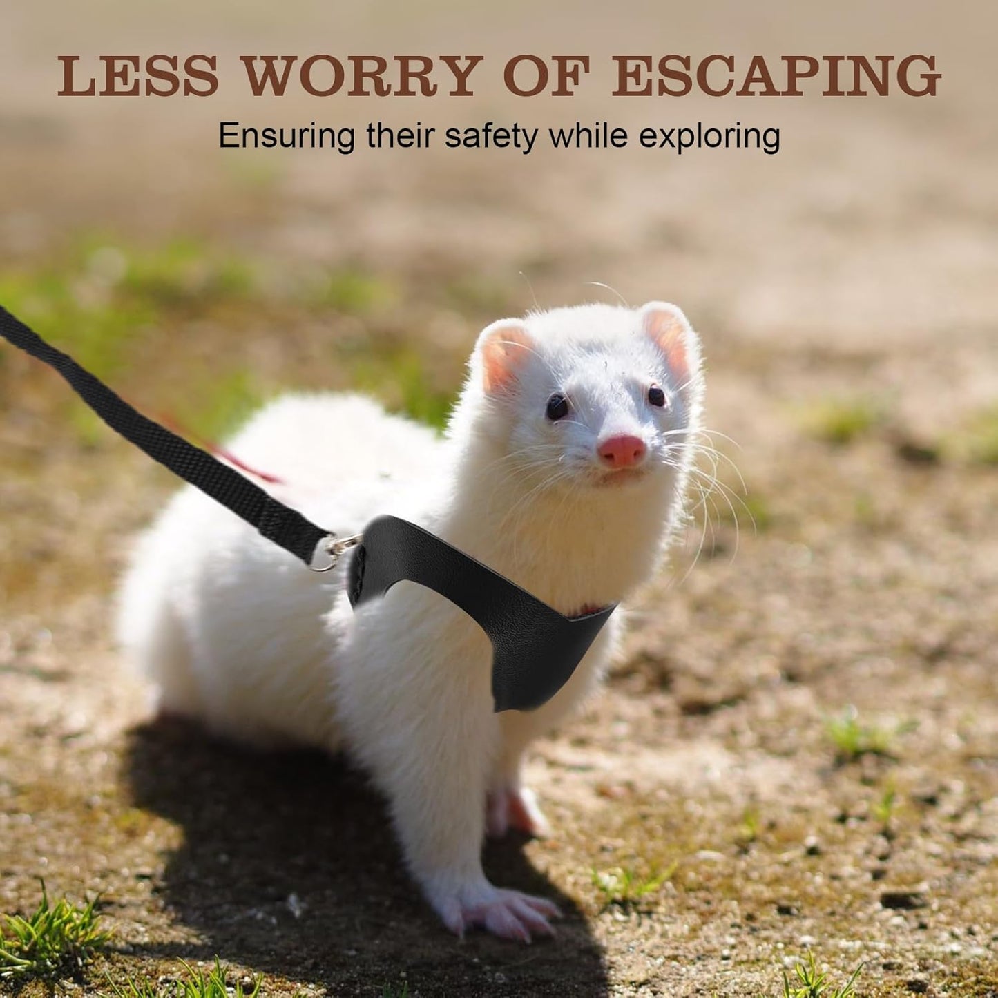 Sugar Gilder Harness and Leash, 3 Pack Small Animal Walking Training Vest Accessories for Hamster Squirrel Rabbit Reptile (Black)