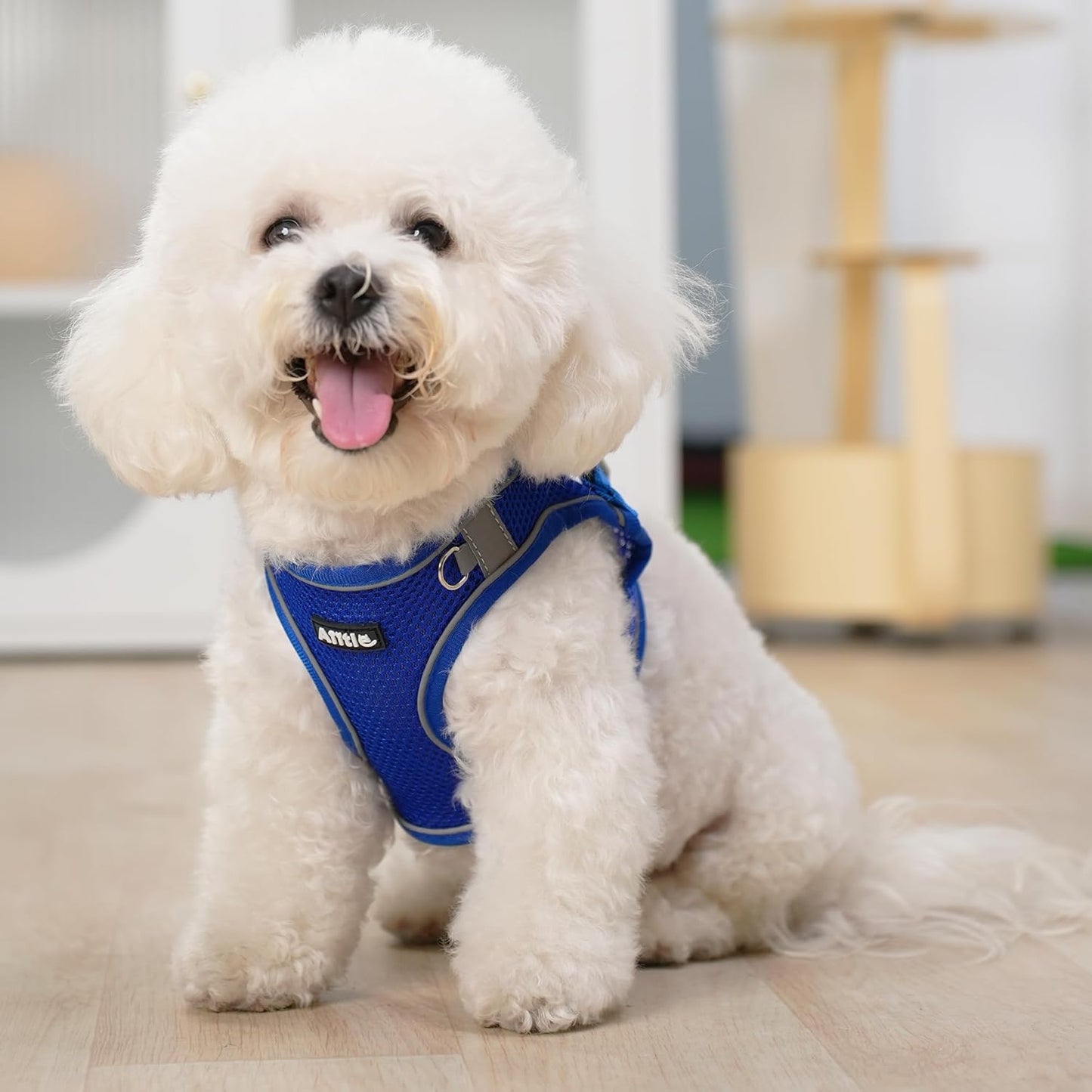 AIITLE Small Harness for Puppy with A Leash - Summer Dog Vest Harness with Super Breathable Mesh, Reflective No-Pull Pet Harness for Outdoor Walking, Camping for Small Dogs, Cats Royal Blue XXS