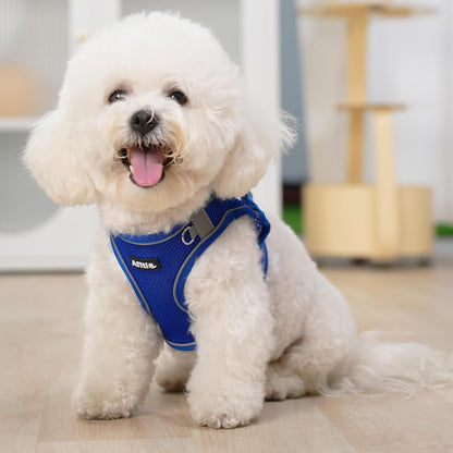 AIITLE Easy Walk Dog Harness and Leash Set - Pet Supply No Pull, Step in Adjustable Pet Harnesses with Padded Vest for Summer, No Choke Over, Easy to Put on Medium Dogs Royal Blue L