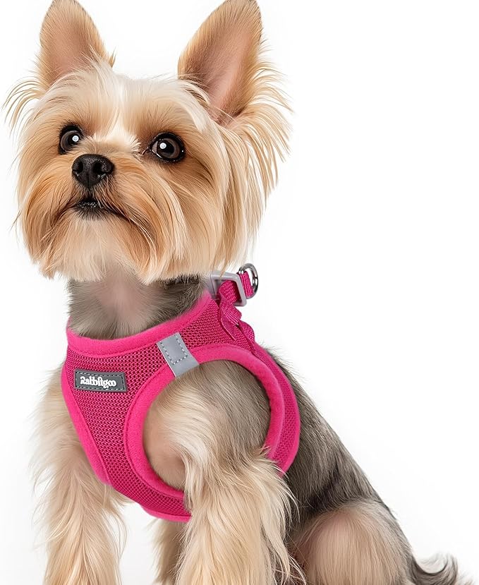 rabbitgoo Small Dog Harness, Step-in Soft Mesh Puppy Vest with Safety Buckle, Breathable Reflective Pet Harness for Small Sized Dogs, Rose Red XS