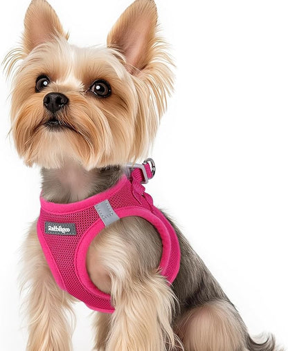 rabbitgoo Small Dog Harness, Step-in Soft Mesh Puppy Vest with Safety Buckle, Breathable Reflective Pet Harness for Small Sized Dogs, Rose Red XS