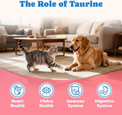 Bovine Colostrum Nutritional Gel for Dog & Cat - High Calorie Supplement for Dogs and Cats, Support Appetite for Cat, Immune Support, Dog Weight Gainer, Senior Dogs Cats Supplement