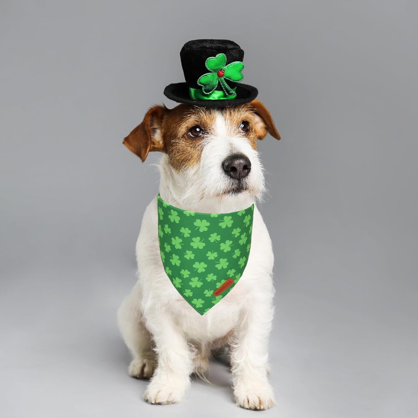 ADOGGYGO St. Patrick's Day Dog Bandana, Green Shamrock Pet Scarf, Adjustable Fit Saint Patrick Bandanas for Small Dogs (Small)