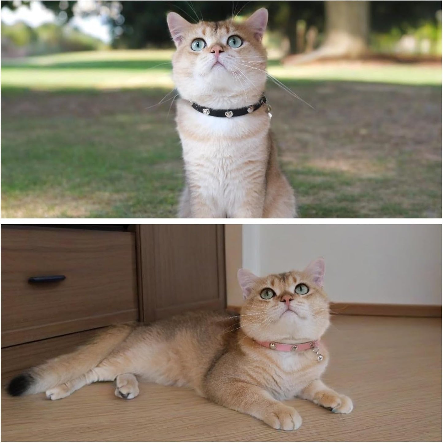 Spiked Cat Collar with Bells, Breakaway Genuine Leather Protective Collar for Kitty, Studs Spikes Punk Style, Heart Pattern, Adjustable for Girl Boy Kittens Small Bunny Rabbit, 10"-12" Black