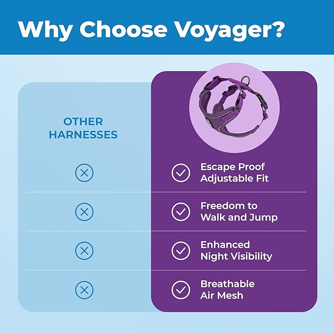 Best Pet Supplies Voyager Escape Proof Cat Harness and Leash Set with Reflective Stitching, Neoprene Handle 5ft - Supports Small, Medium and Large Cats, Kittens - Purple, M (Chest: 16.5-19.5")