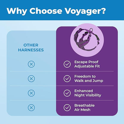 Voyager Escape Proof Cat Harness and Leash Set with Reflective Stitching, Neoprene Handle 5ft - Supports Small, Medium and Large Cats, Kittens for Walking by Best Pet Supplies - Purple, XXS